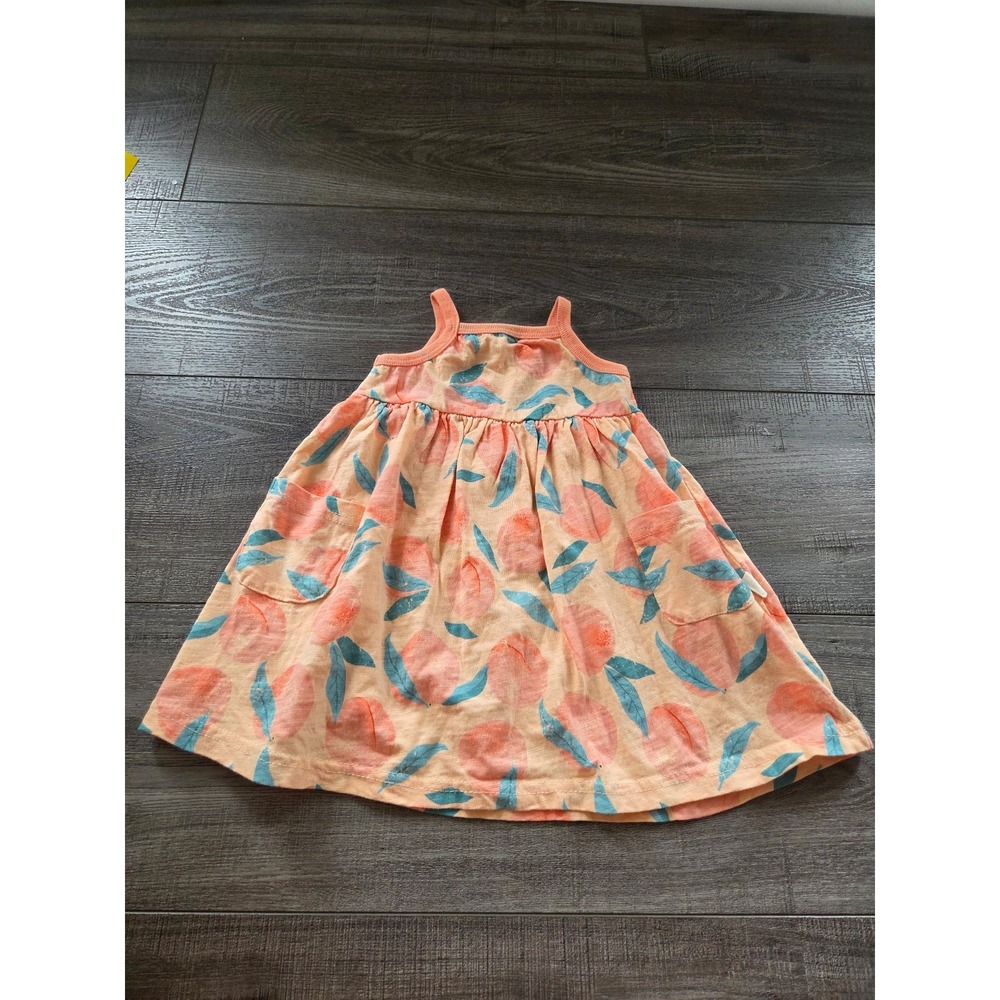 Rabbit bear baby girl fruit dress 12 mos